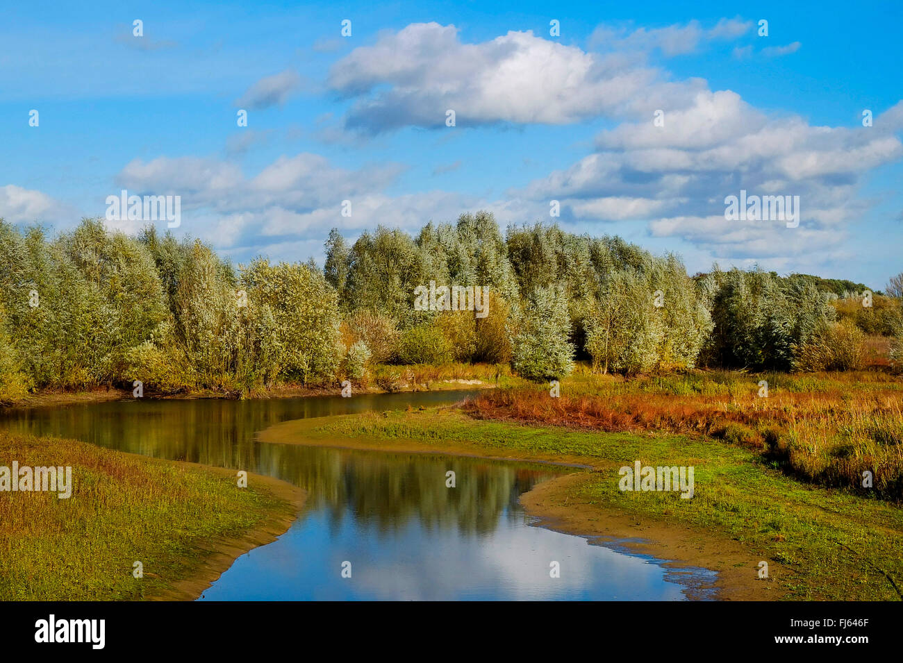 Floodplain disselmersch hires stock photography and images Alamy