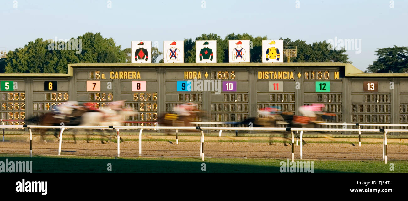 horse race finish, Argentina, Buenos Aires Stock Photo
