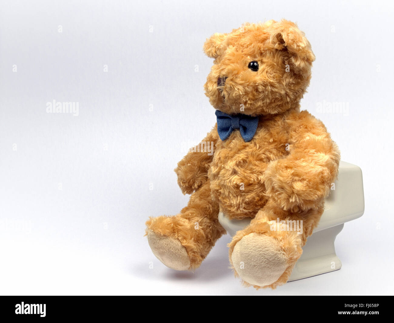 Bear doll sitting toilet models hires stock photography and images Alamy