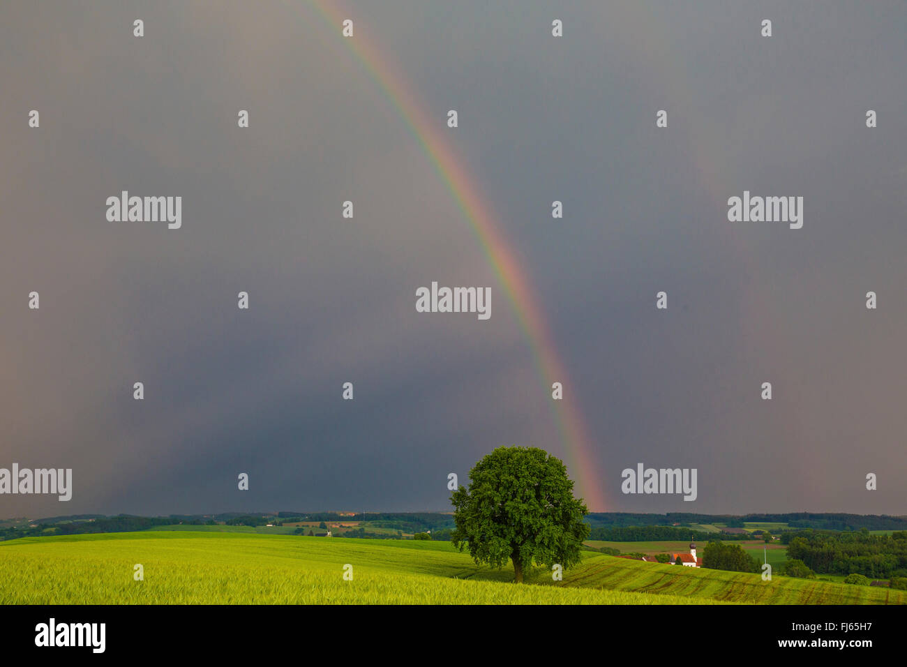 rainbow above hilly field landscape, Germany, Bavaria, Isental Stock Photo