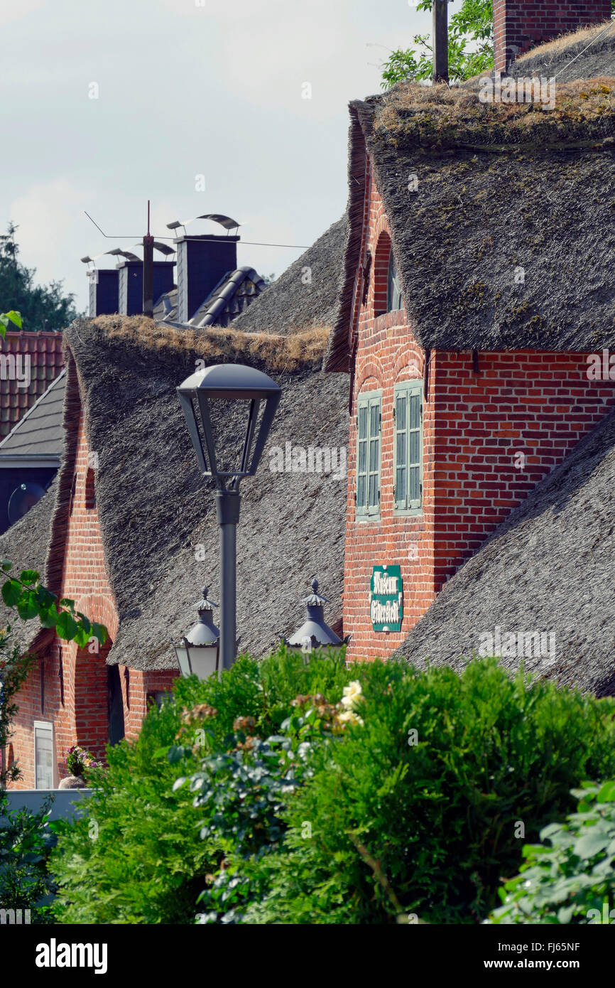 North Frisian Thatched Roof Houses With Dormers Germany Stock
