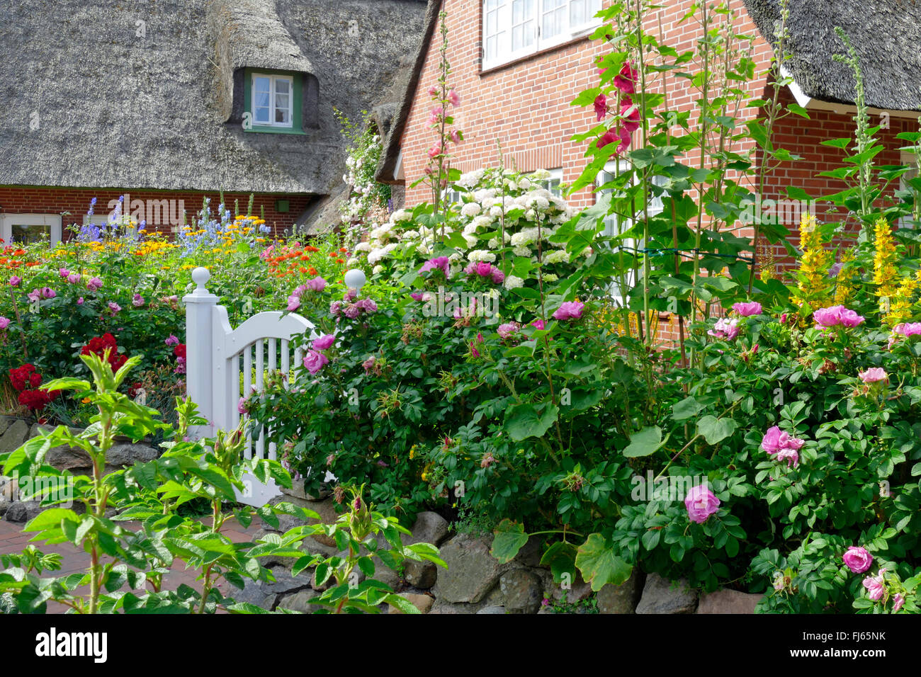 thatchedroof house with colourful blooming garden, Germany, Schleswig