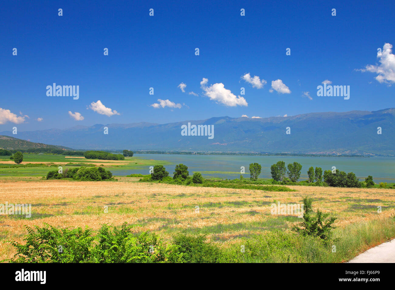 south side of Lake Kerkini, Greece, Kerkini lake National Park Stock Photo
