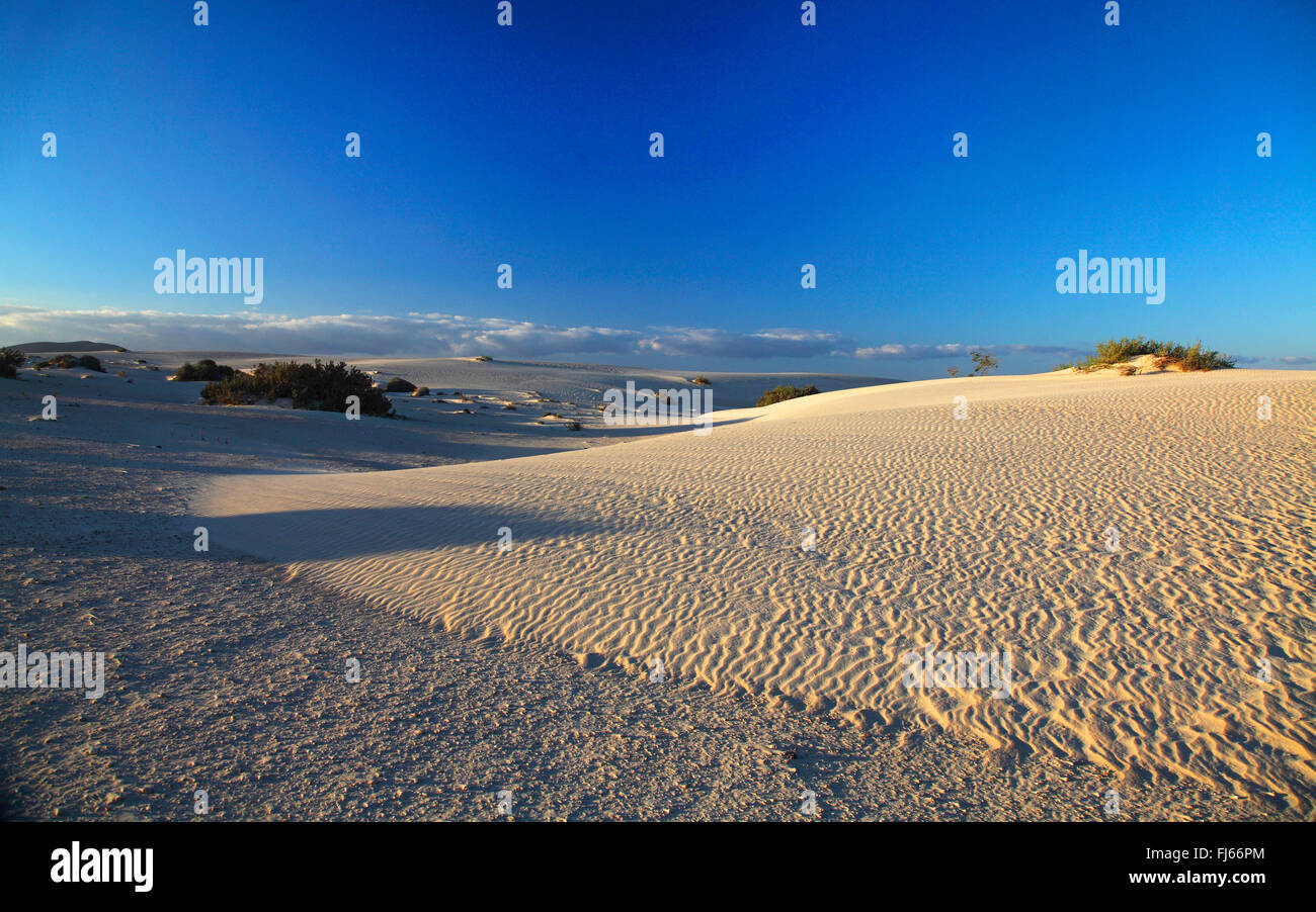 dunes near Corralejo, Canary Islands, Fuerteventura Stock Photo