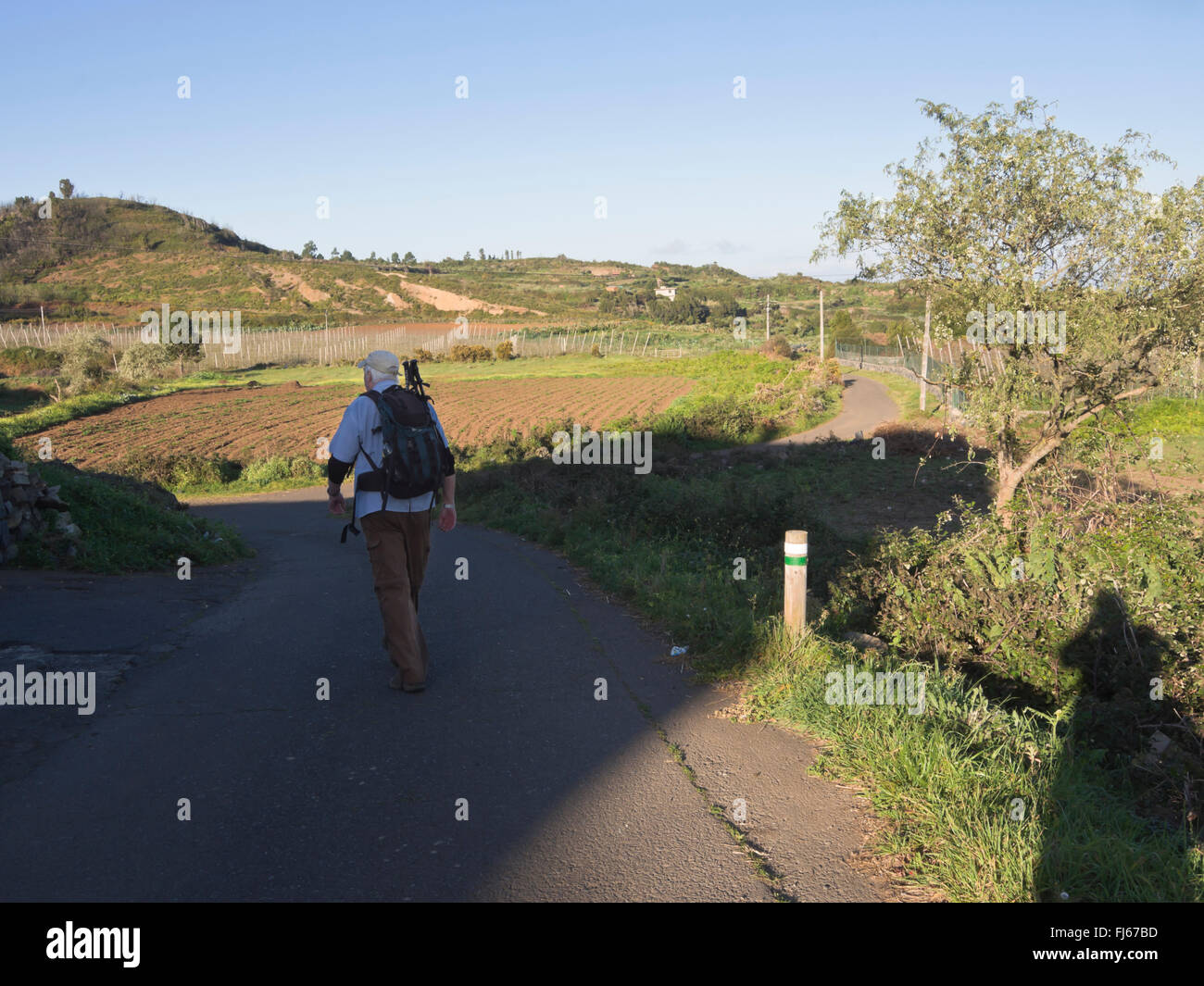 Hiker on a countryside lane in Ruigomez Tenerife Spain following the hiking trail to El Tanque through beautiful landscapes Stock Photo