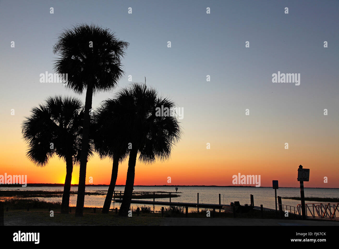 palm trees at Lake Kissimmee at sunset, USA, Florida Stock Photo
