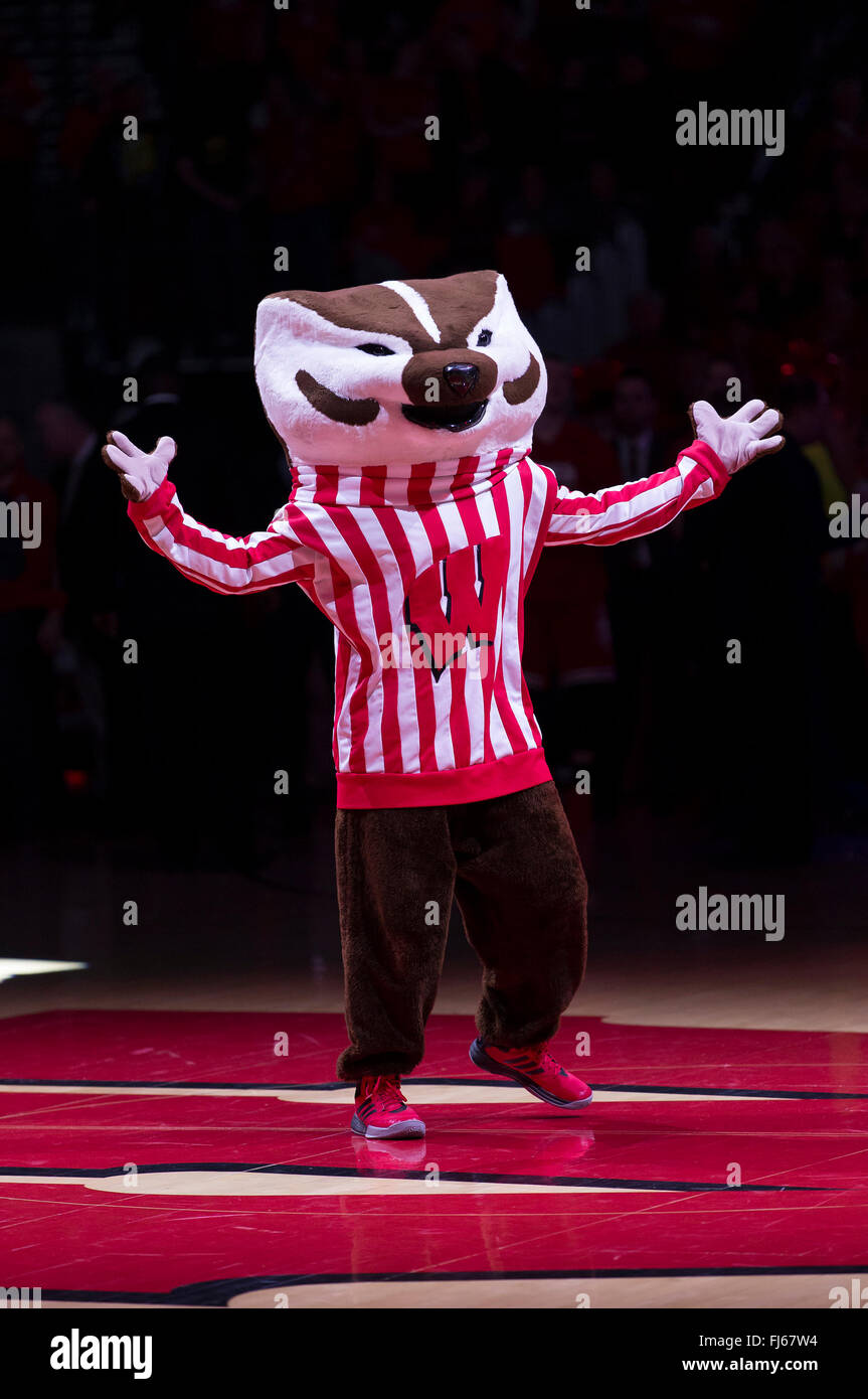 Madison, WI, USA. 28th Feb, 2016. Bucky Badger during the NCAA Basketball game between the Michigan Wolverines and the Wisconsin Badgers at the Kohl Center in Madison, WI. Wisconsin defeated Michigan 68-57. John Fisher/CSM/Alamy Live News Stock Photo