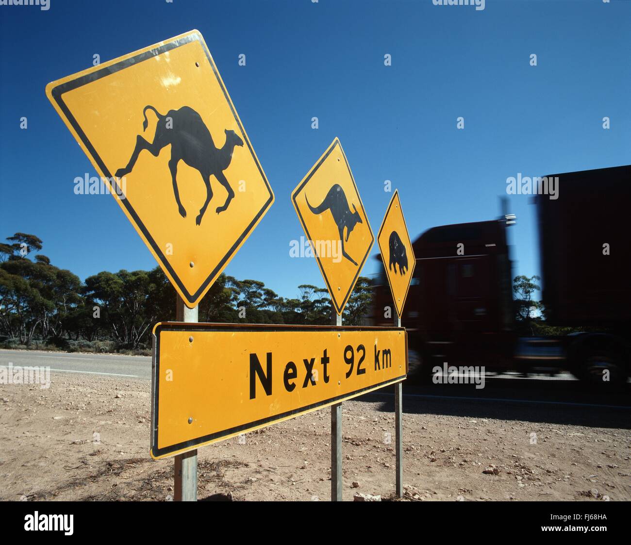 warning sign for camels and kangaroos and wombats, Australia Stock Photo