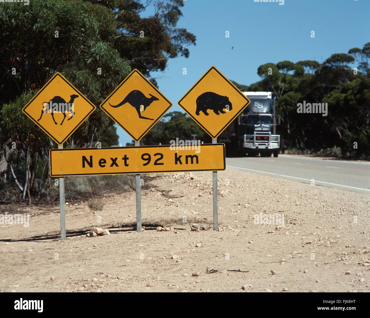 warning sign for camels and kangaroos and wombats, Australia Stock Photo