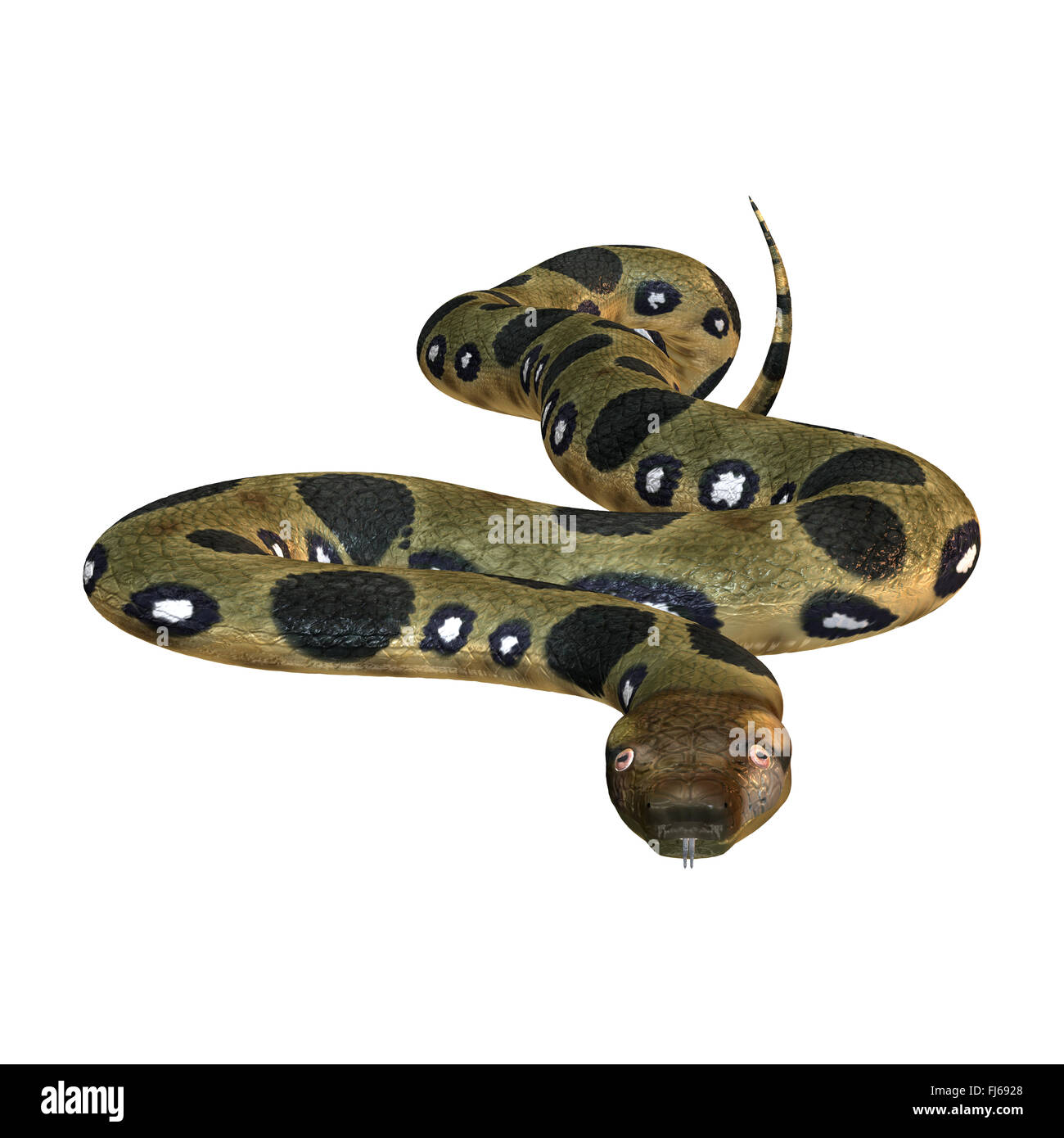 Anaconda 3d hi-res stock photography and images - Alamy