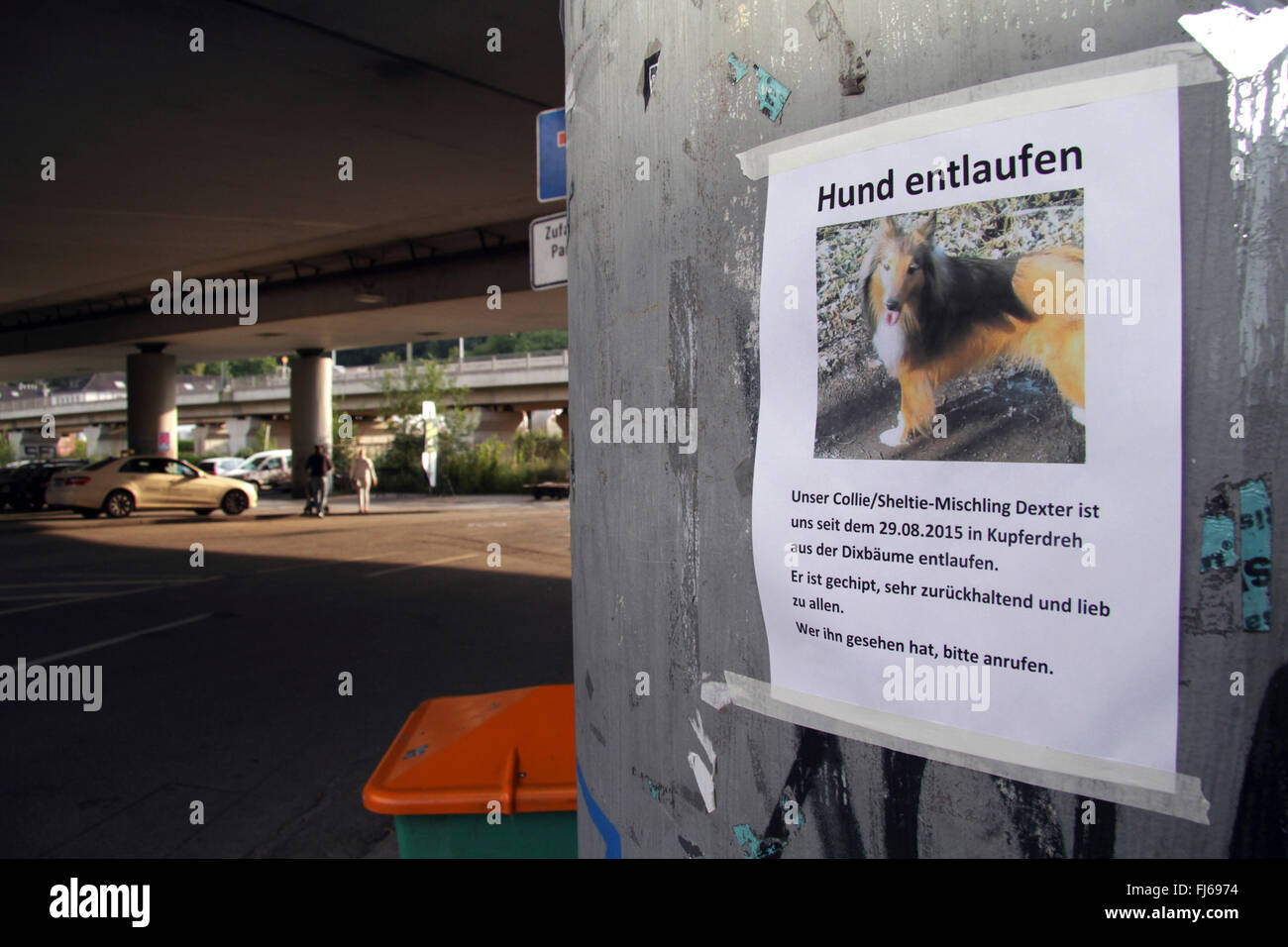 search poster, searching lost dog, Germany Stock Photo
