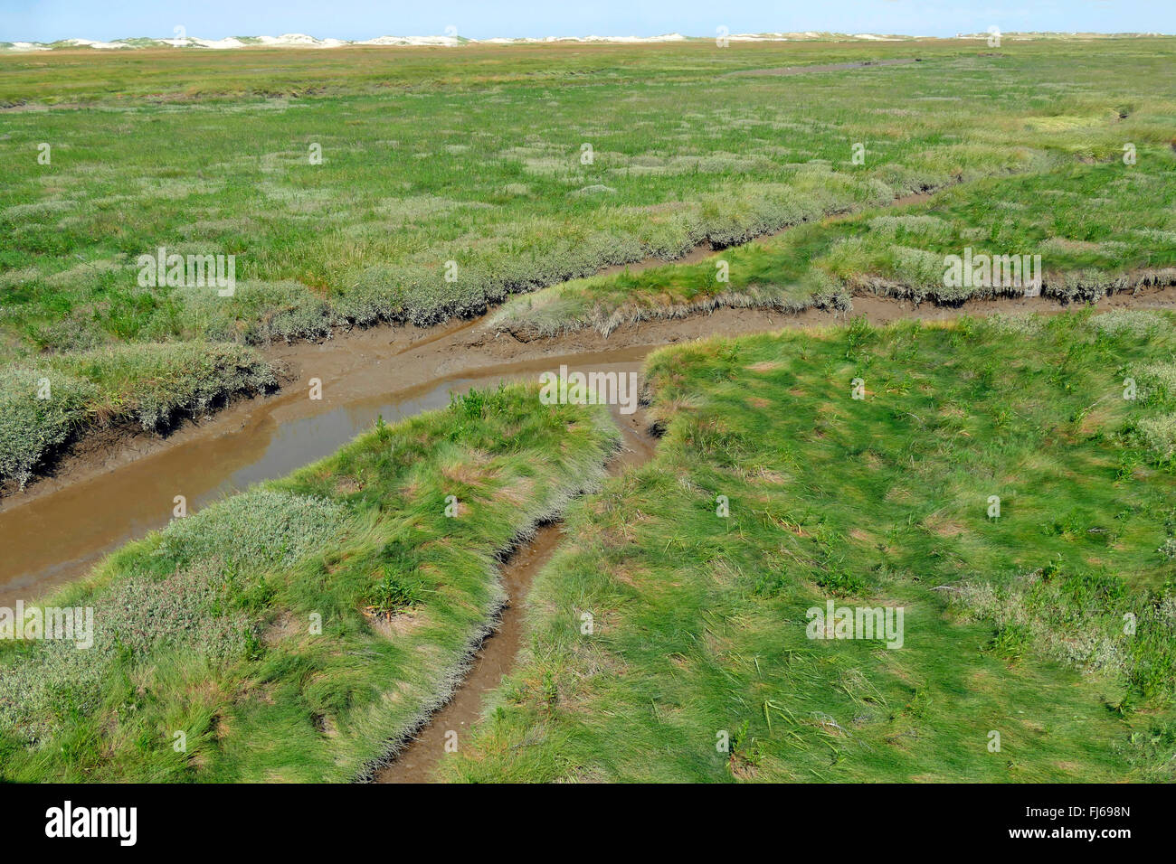 salt marsh and tideway at the North Sea coast, Germany, Schleswig-Holstein, Northern Frisia, Sankt Peter-Ording Stock Photo