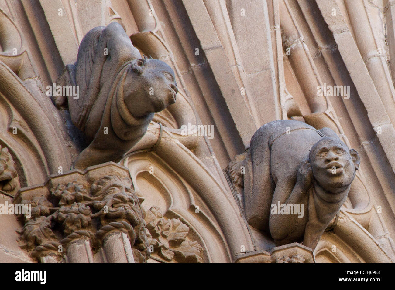 Gargoyles on the exterior of the Cathedral de la Seu Barcelona,Spain Stock Photo