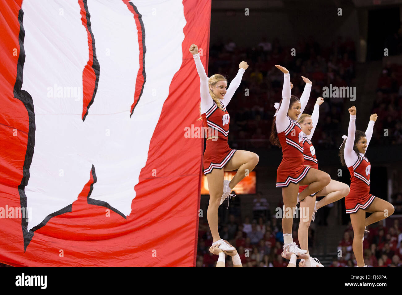Madison, WI, USA. 28th Feb, 2016. Wisconsin cheerleaders during the NCAA Basketball game between the Michigan Wolverines and the Wisconsin Badgers at the Kohl Center in Madison, WI. Wisconsin defeated Michigan 68-57. John Fisher/CSM/Alamy Live News Stock Photo