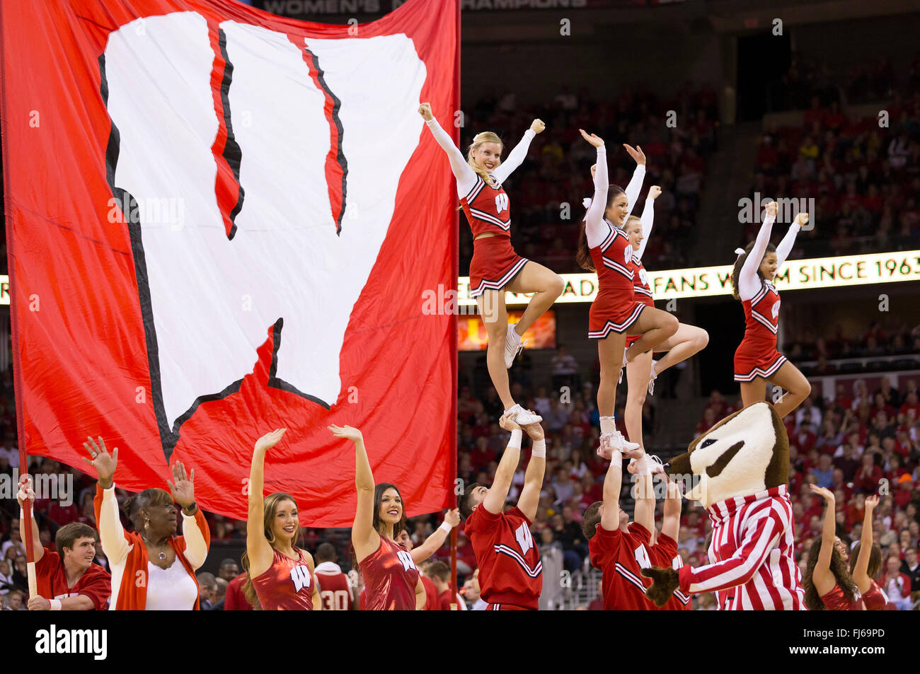 Madison, WI, USA. 28th Feb, 2016. Wisconsin cheerleaders during the NCAA Basketball game between the Michigan Wolverines and the Wisconsin Badgers at the Kohl Center in Madison, WI. Wisconsin defeated Michigan 68-57. John Fisher/CSM/Alamy Live News Stock Photo