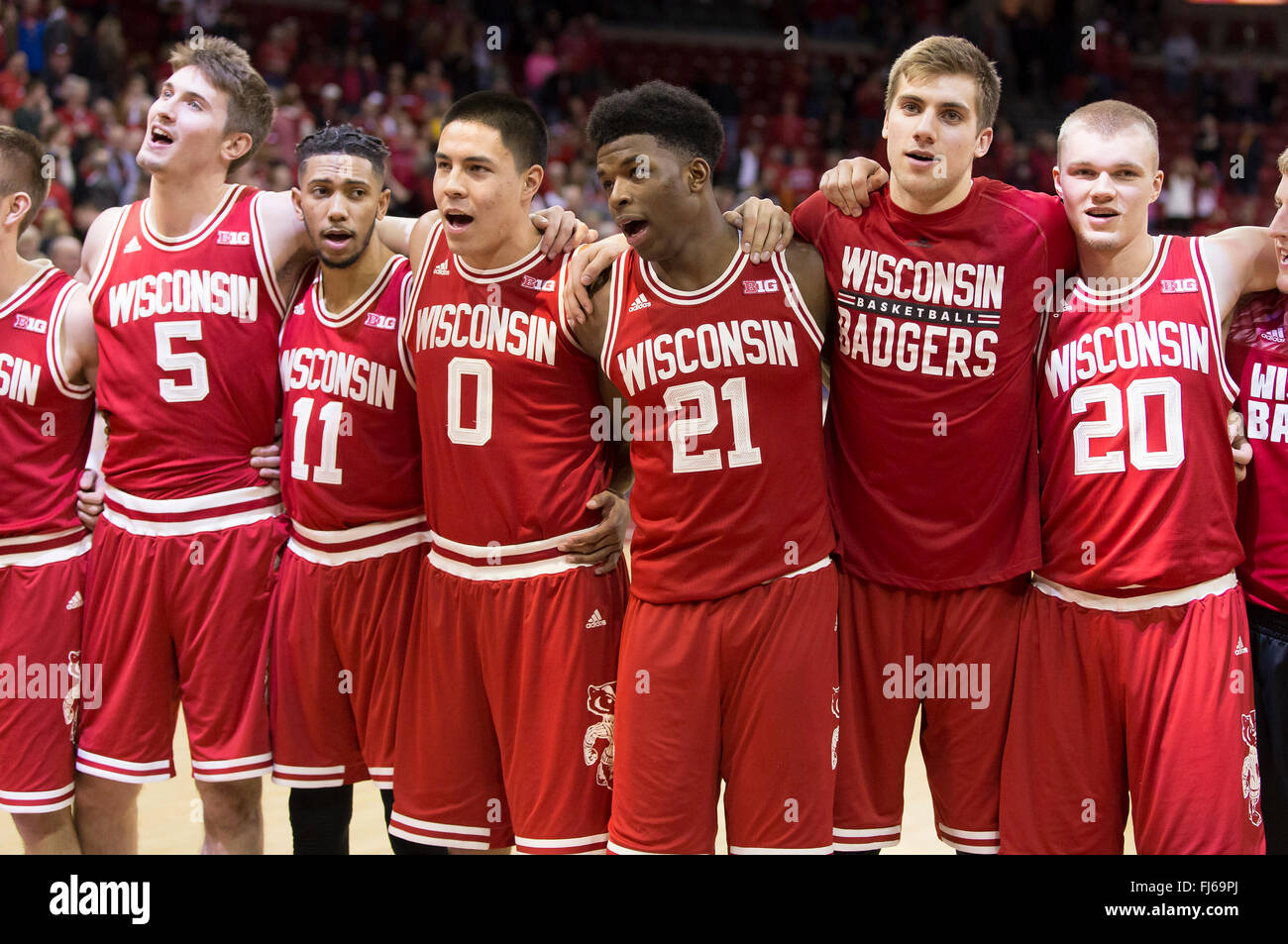 Madison, WI, USA. 28th Feb, 2016. Wisconsin players sing Varsity after the NCAA Basketball game between the Michigan Wolverines and the Wisconsin Badgers at the Kohl Center in Madison, WI. Wisconsin defeated Michigan 68-57. John Fisher/CSM/Alamy Live News Stock Photo