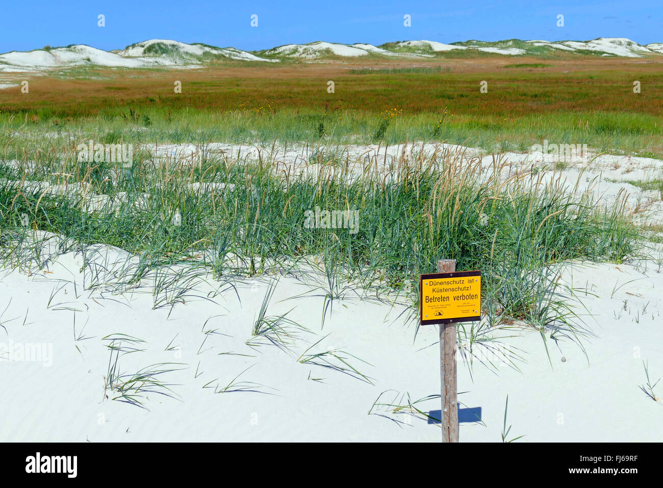 'coastal protection, no trespassing!' sign on the North Sea dunes, Germany, Schleswig-Holstein, Northern Frisia, Sankt Peter-Ording Stock Photo