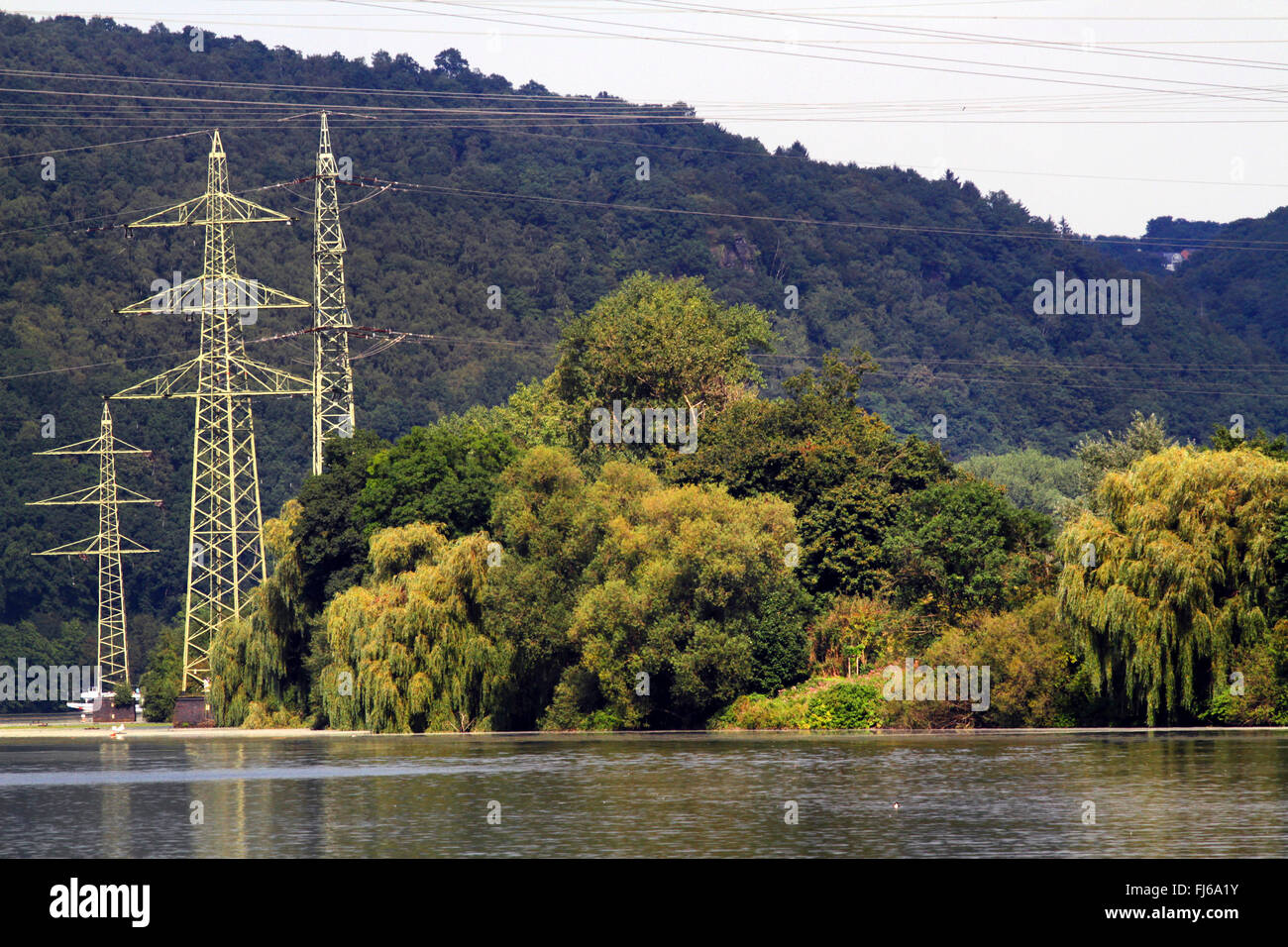 power poles and lush vegetation on the Hengsteysee lakefront, Germany, North Rhine-Westphalia Stock Photo
