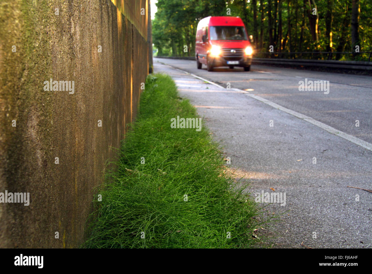 Wayside Weeds High Resolution Stock Photography and Images - Alamy
