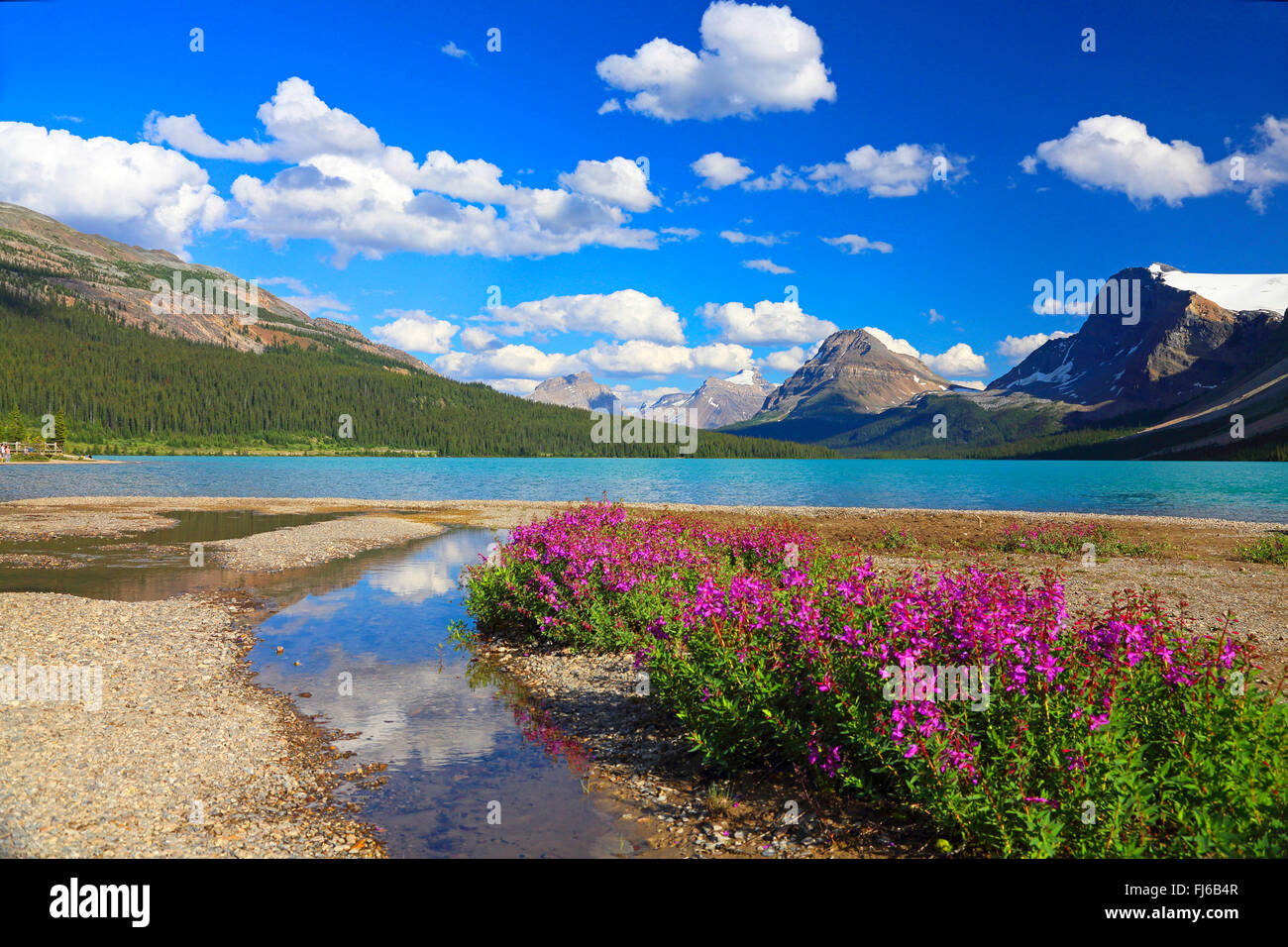 Bow Lake, Canada, Alberta, Banff National Park Stock Photo