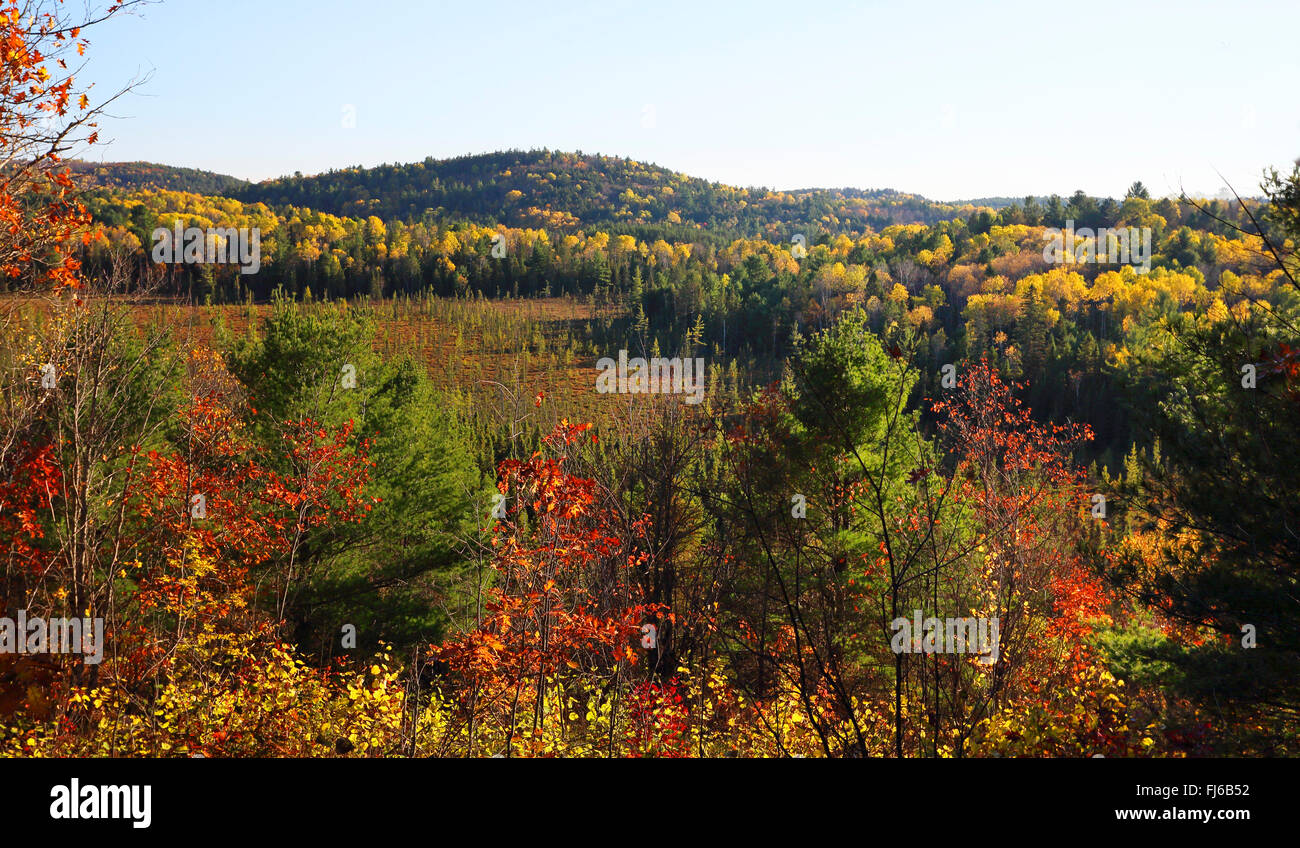 Indian summer at Algonquin Park, view from visitor center, Canada ...