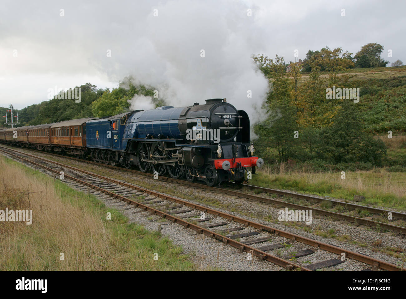 Tornado steam locomotive in BR blue near Goathland Station on North York Moors Railway Stock Photo