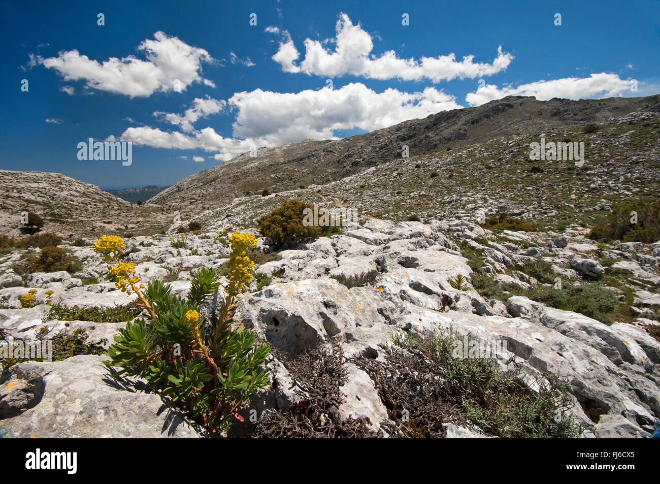 Oliena,Nuoro,Sardinia,Italy, 05/2014. Landscape view of the wild and rocky Corrasi mountain in the Supramonte, Barbagia region. Stock Photo