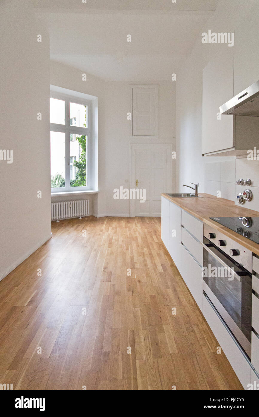 empty kitchen, fresh renovated home Stock Photo