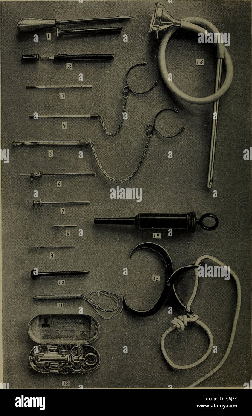 Dr. David Roberts' practical home veterinarian (1912) Stock Photo