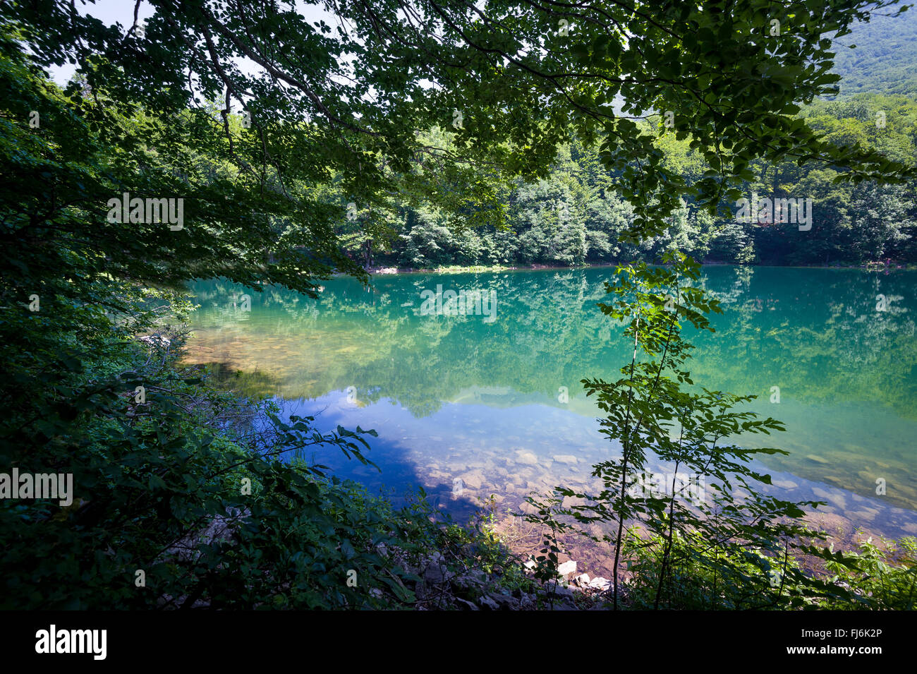 Forest lake in the frame of trees Stock Photo
