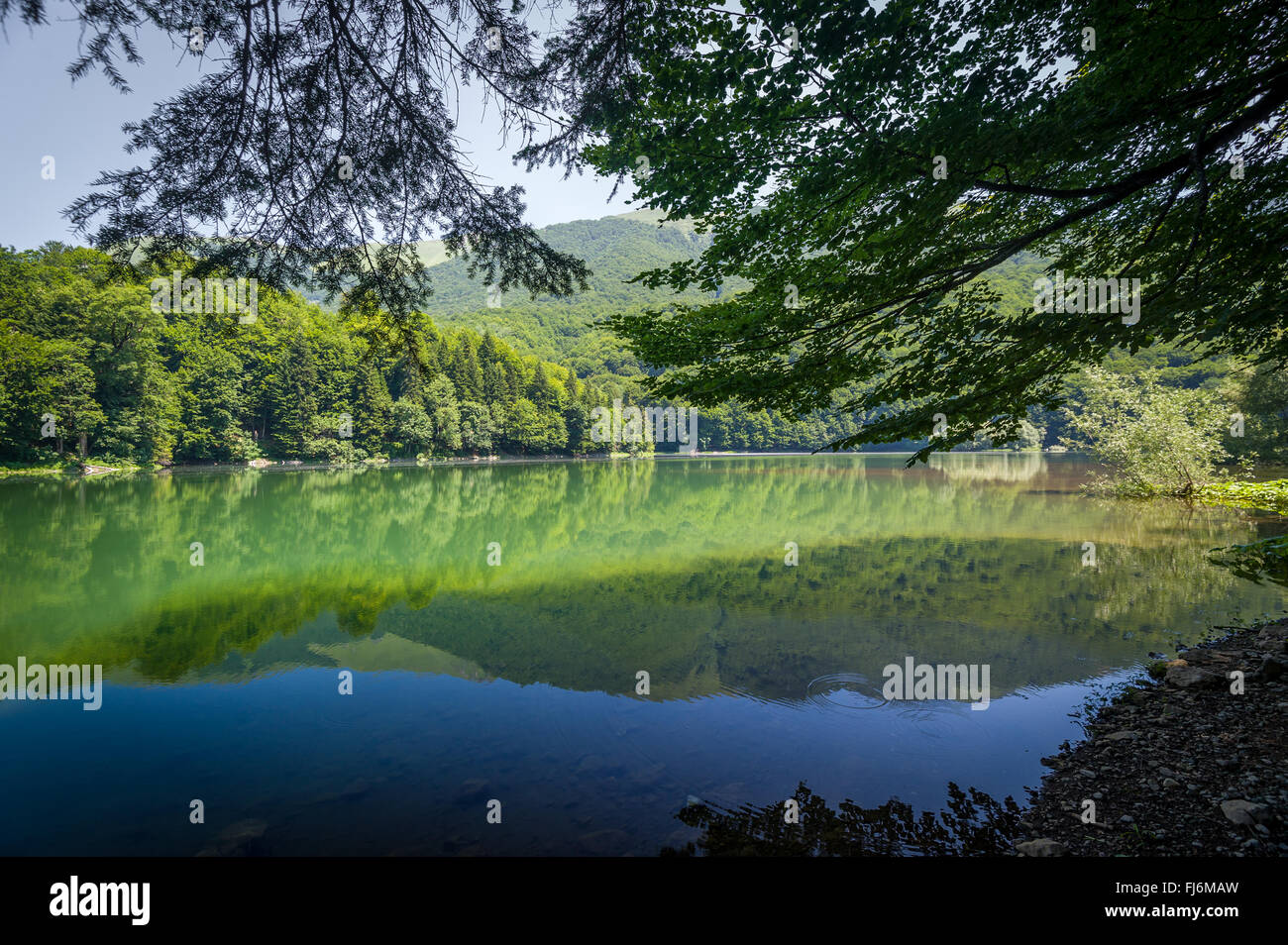 Landscape of mountain lake Biogradsko jezero Stock Photo