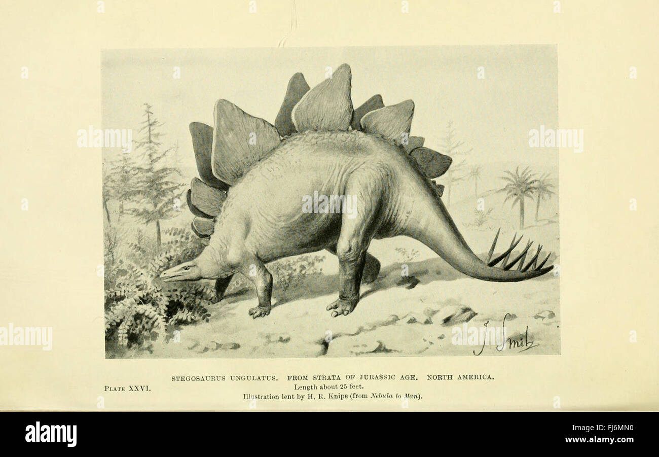 A historical exploration of extinct animals and prehistoric creatures ...