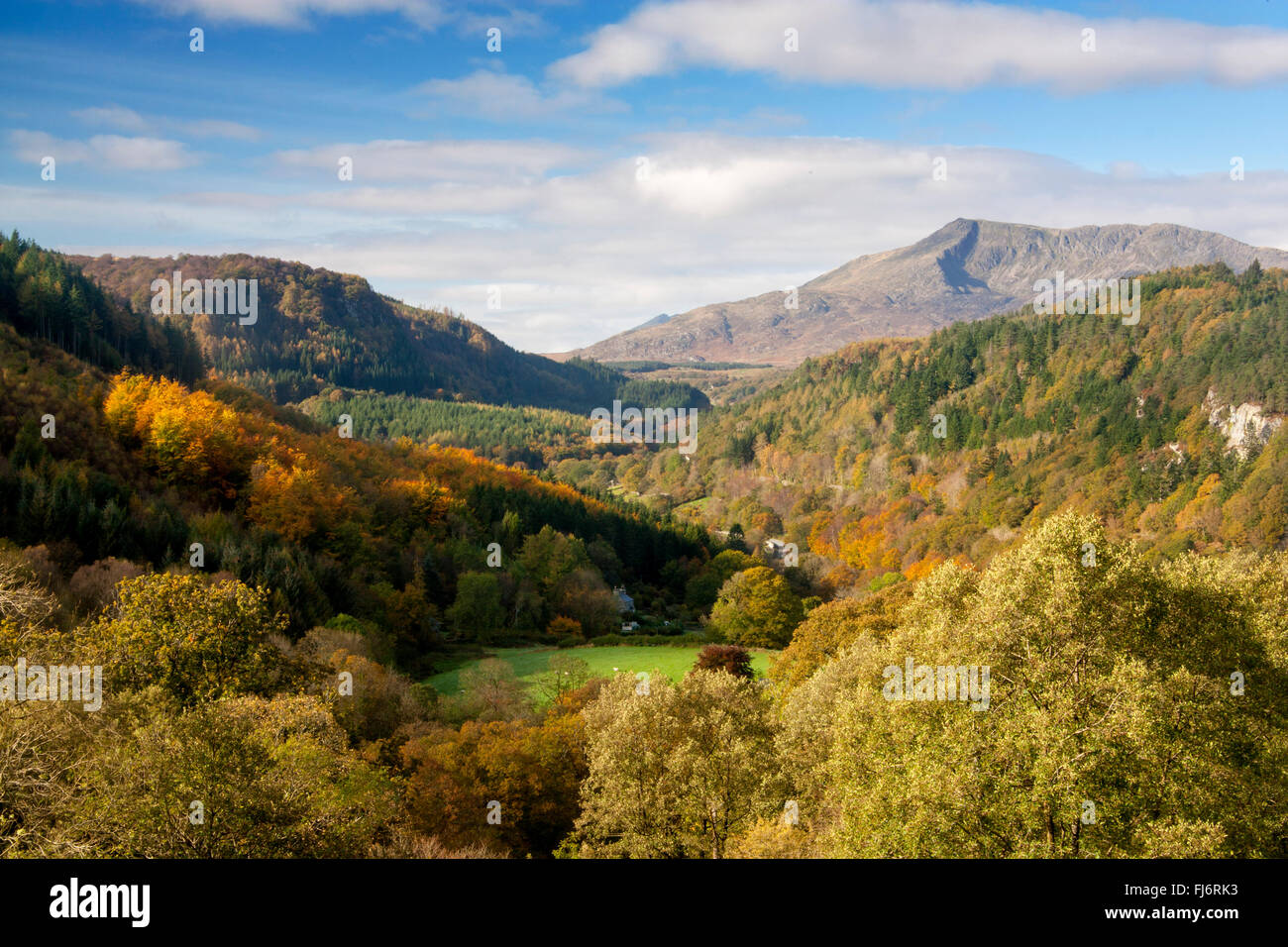 Lledr valley in autumn looking towards Moel Siabod Near Betws-y-Coed Snowdonia National Park Conwy County North Wales UK Stock Photo