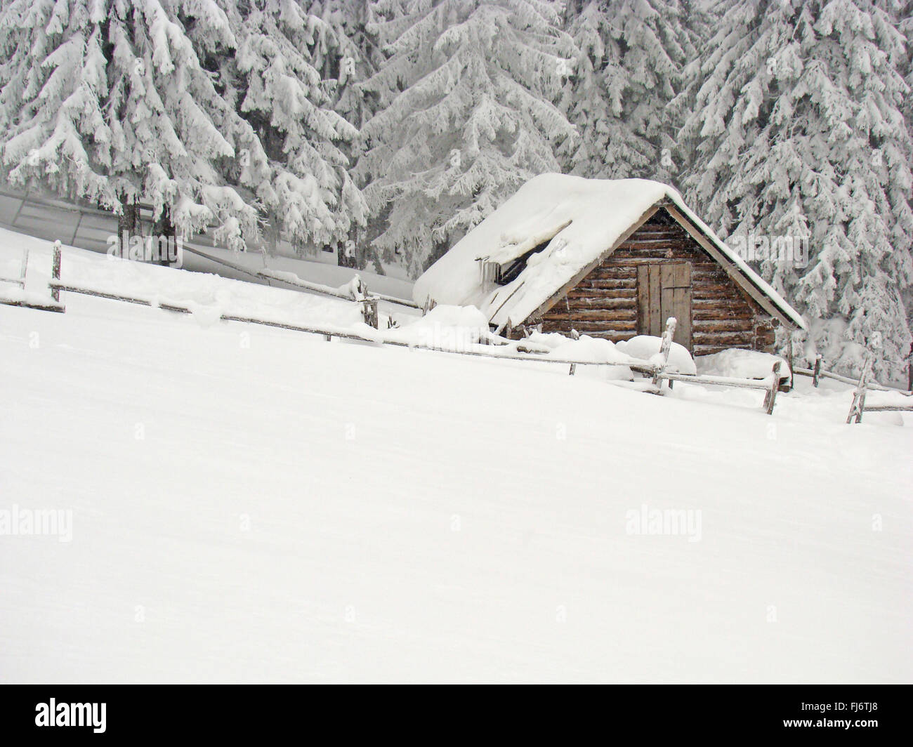Snow covered hut in a snowy forest hi-res stock photography and images ...