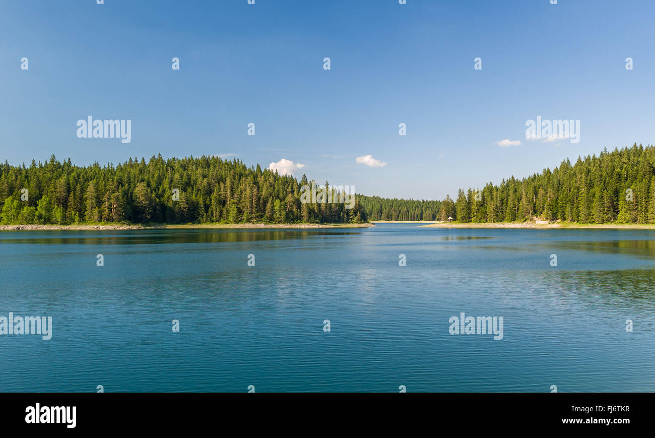 Coniferous Forests High Resolution Stock Photography and Images - Alamy