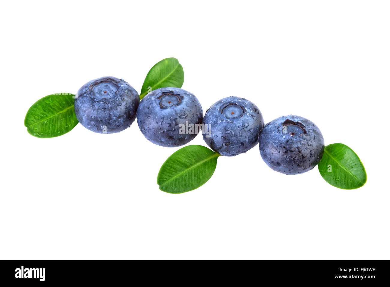 Blueberries Diagonal Composition Isolated Stock Photo