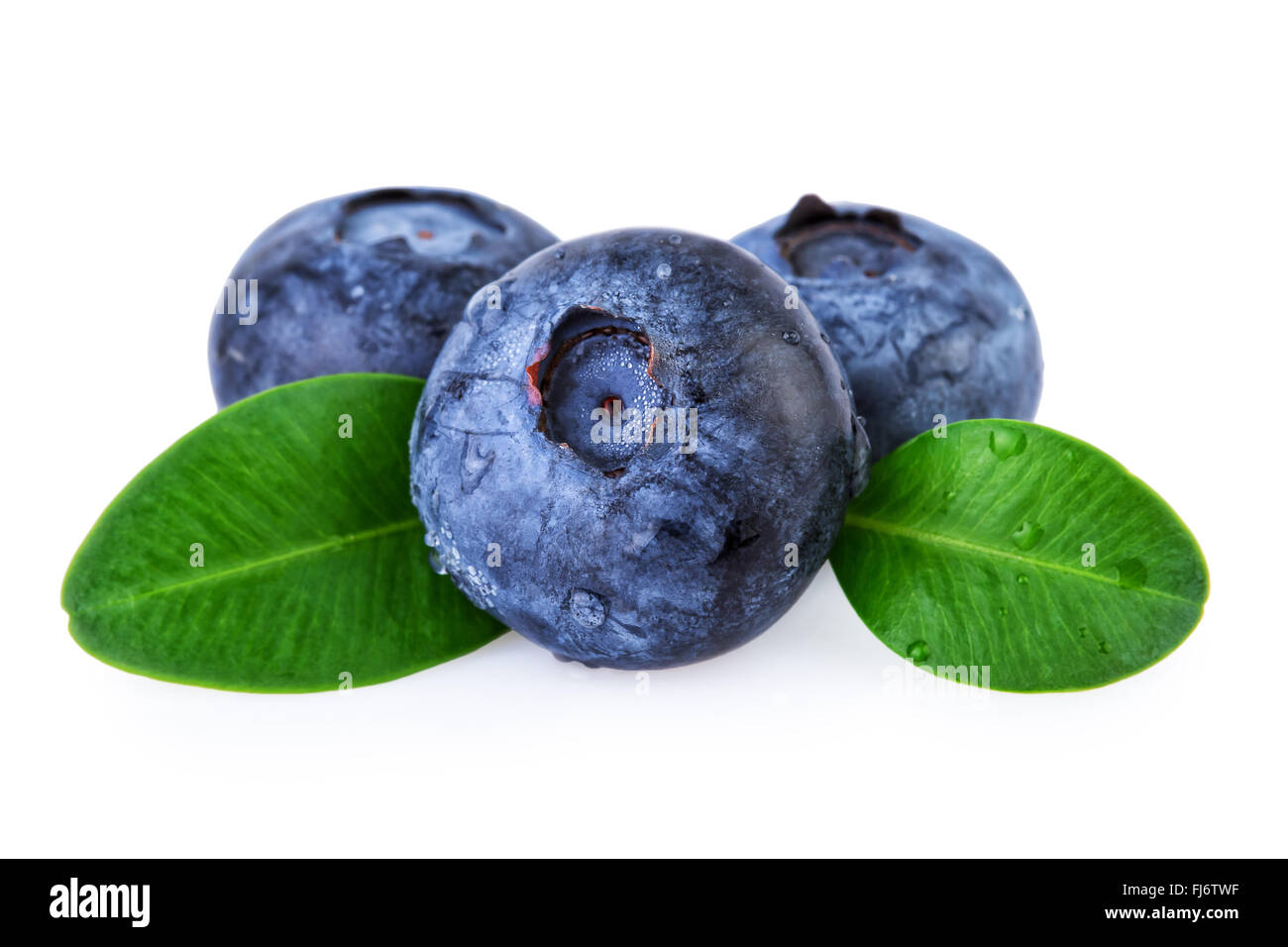 Blueberries Water Droplets Isolated Stock Photo