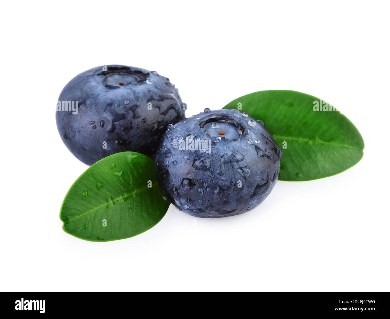Two Blueberries Macro Closeup Stock Photo