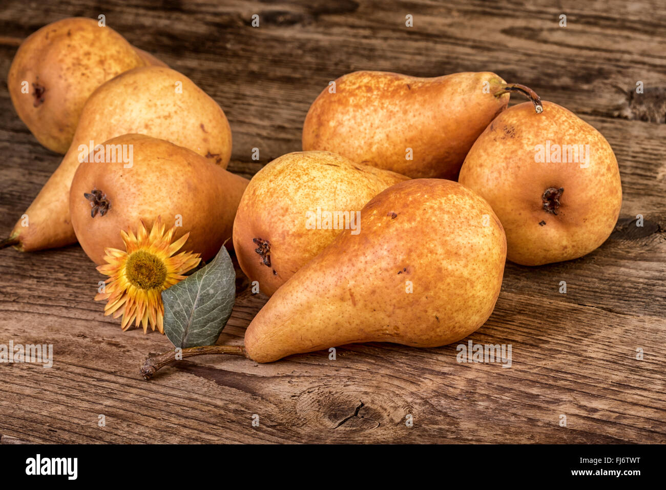Vintage fruit pears hi-res stock photography and images - Alamy