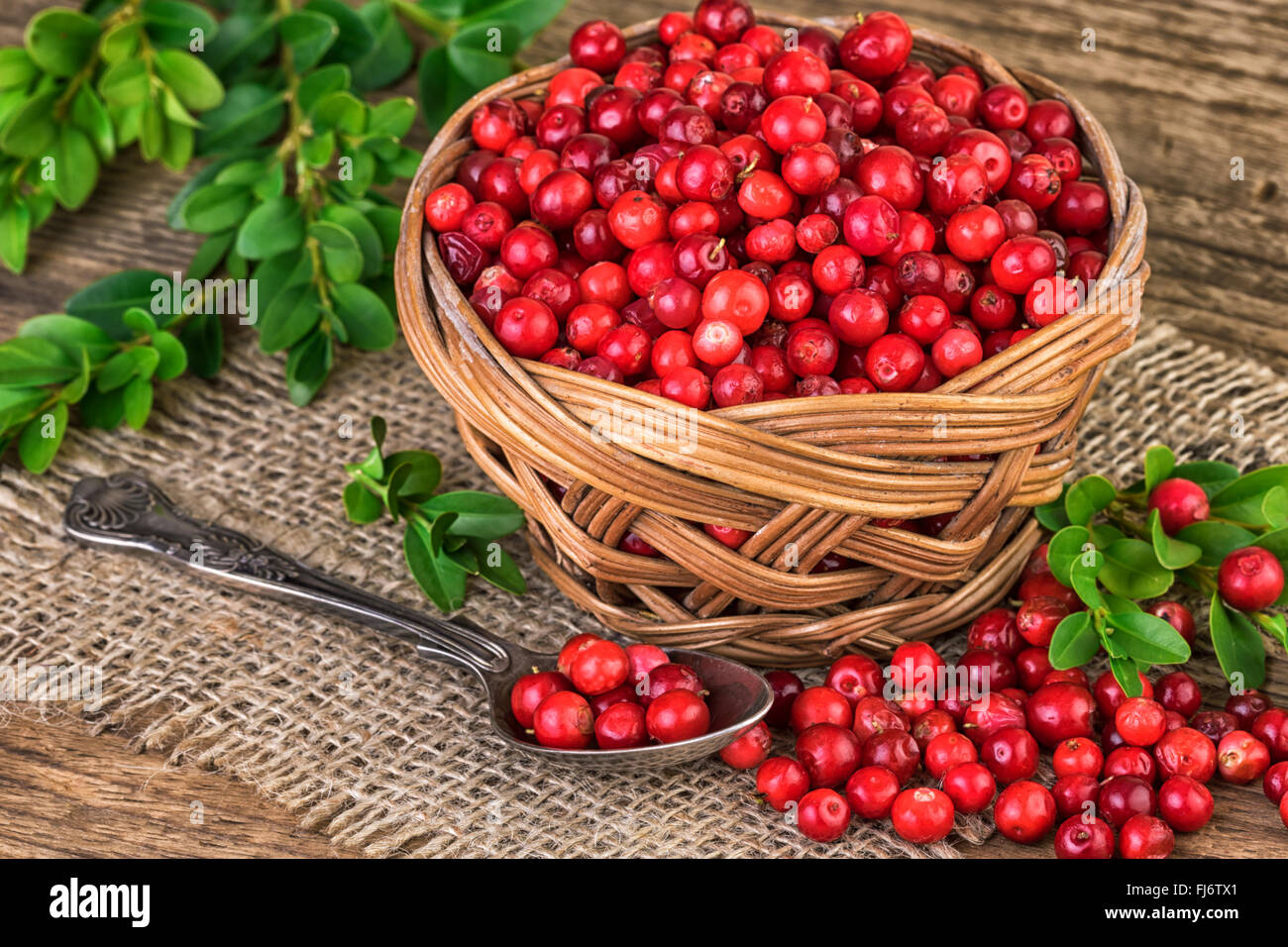 Cranberries basket Stock Photo