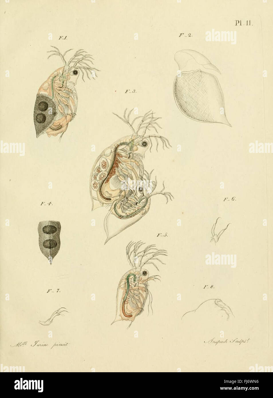 Histoire des monocles hi-res stock photography and images - Alamy