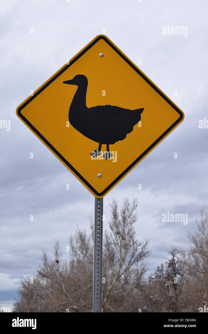 Duck crossing sign. Stock Photo