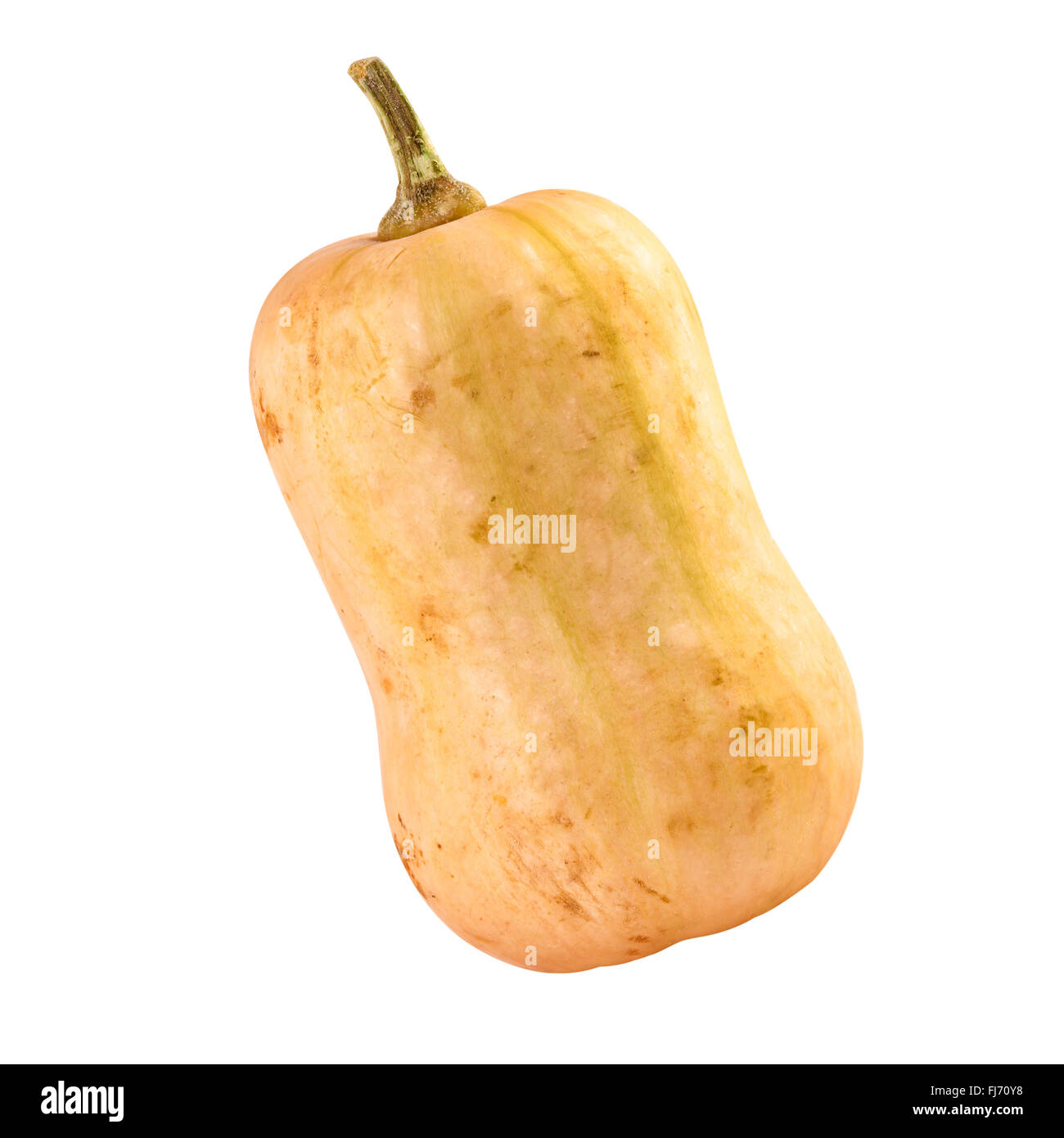 Pumpkin butternut isolated clipping path included Stock Photo