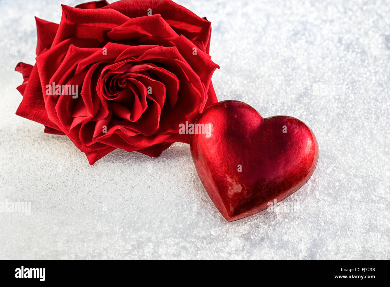 rose and red heart on ice wet snow, selective focus Stock Photo