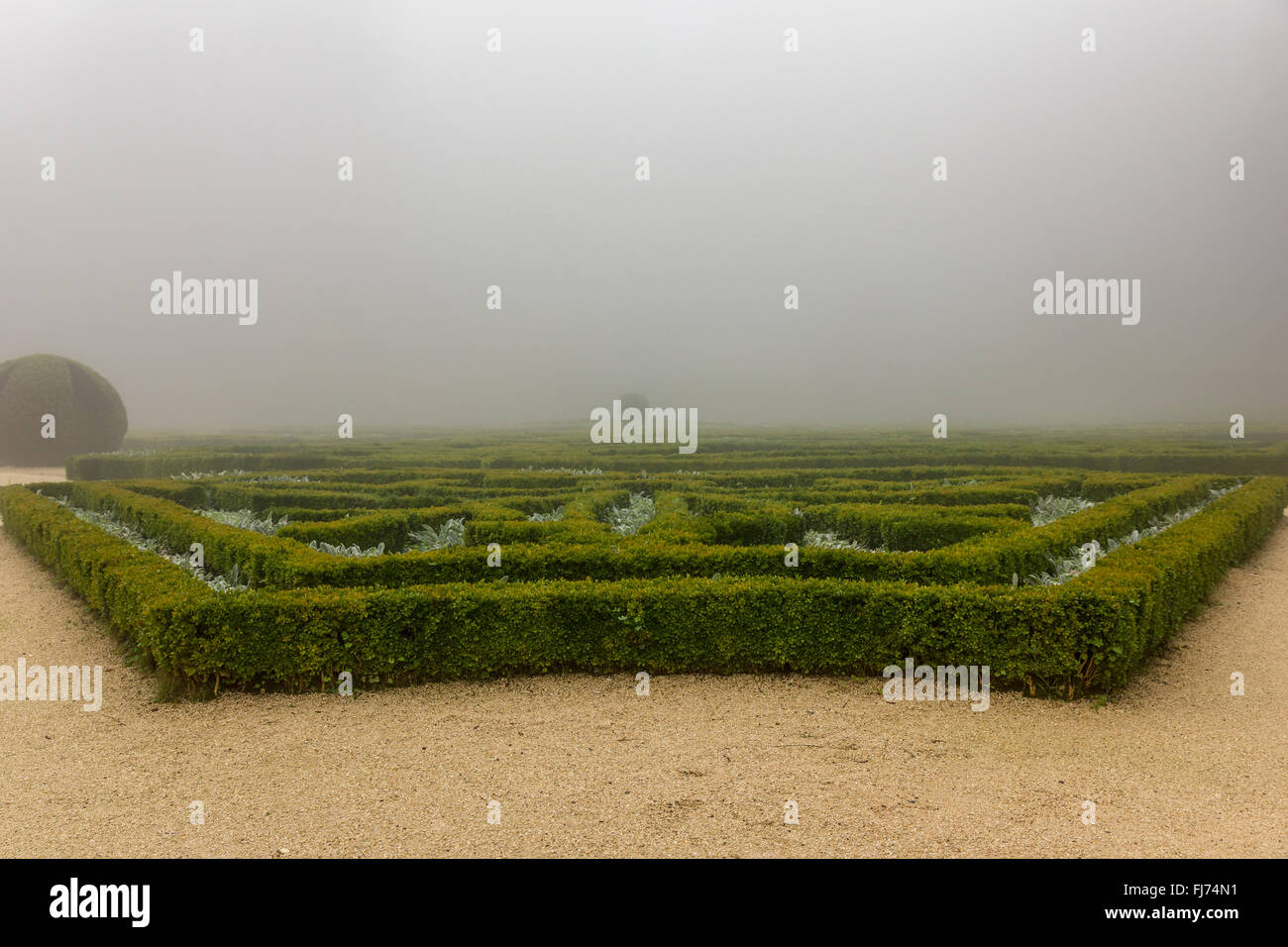 mysterious foggy garden in Portugal Stock Photo