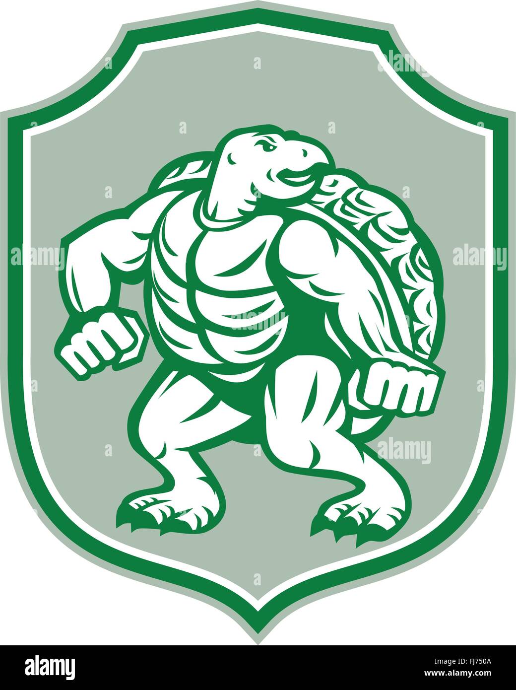Illustration of a green turtle in fighting stance looking to the side set inside shield crest on isolated background done in retro style. Stock Vector