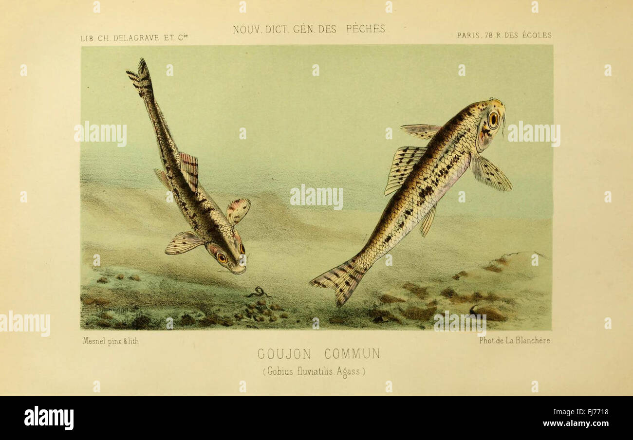 Ancien Magazine La Pêche N°410 - Spécial Coquillages Et Crustacés De 1979