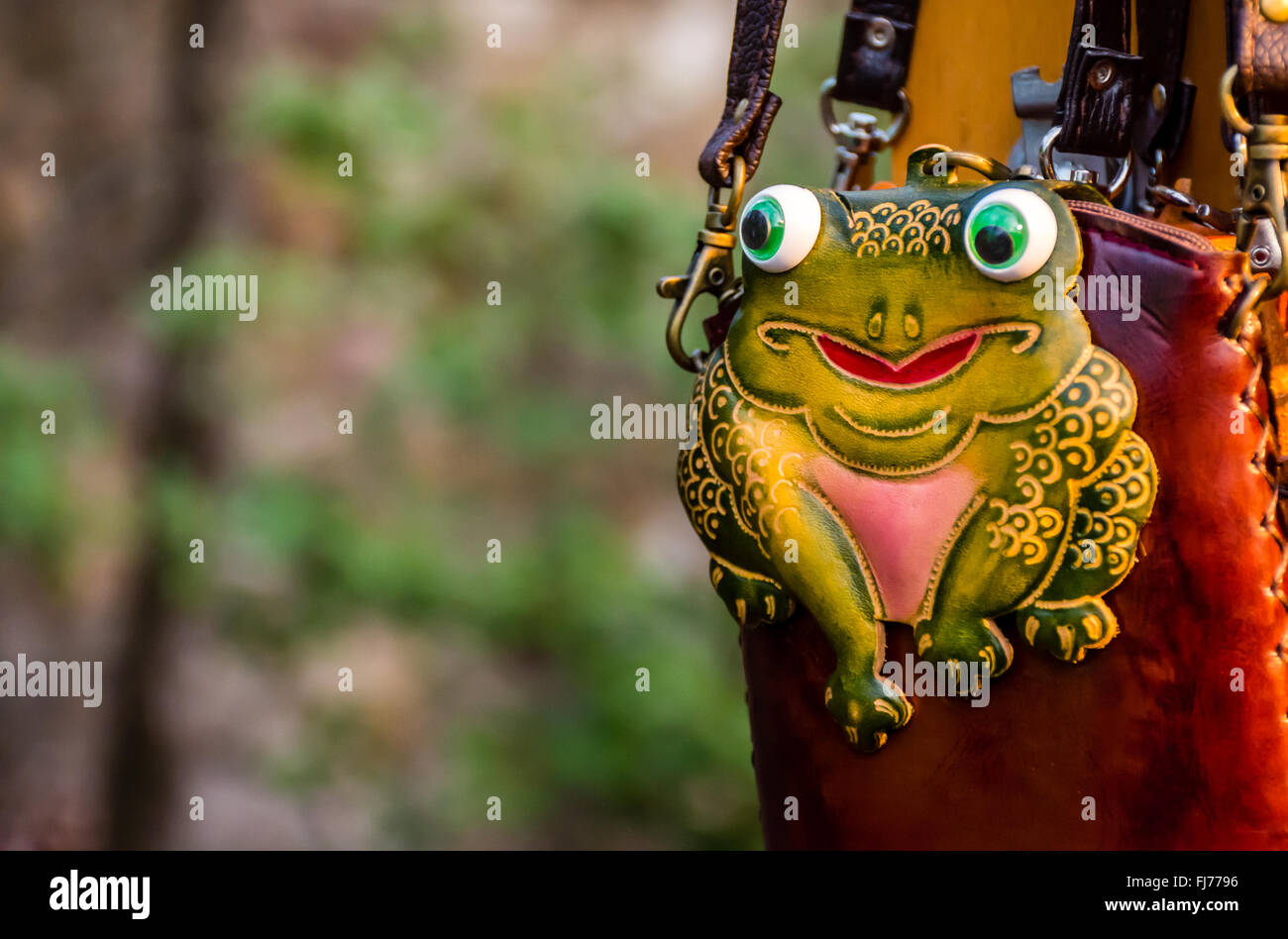 The Curious Frog Stock Photo Alamy