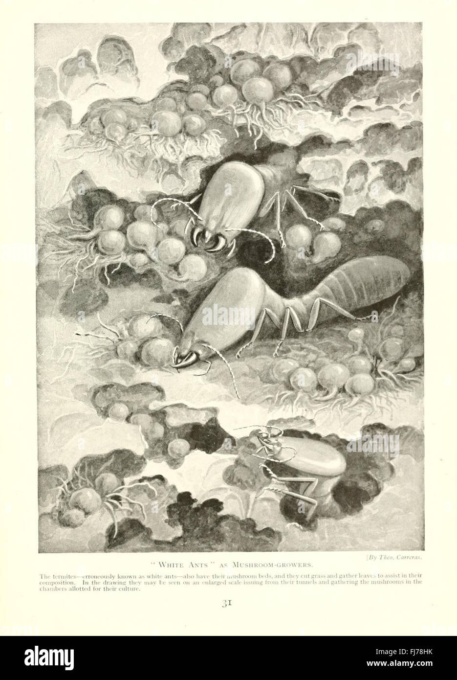 A study exploring the diverse and fascinating behaviors of insects ...