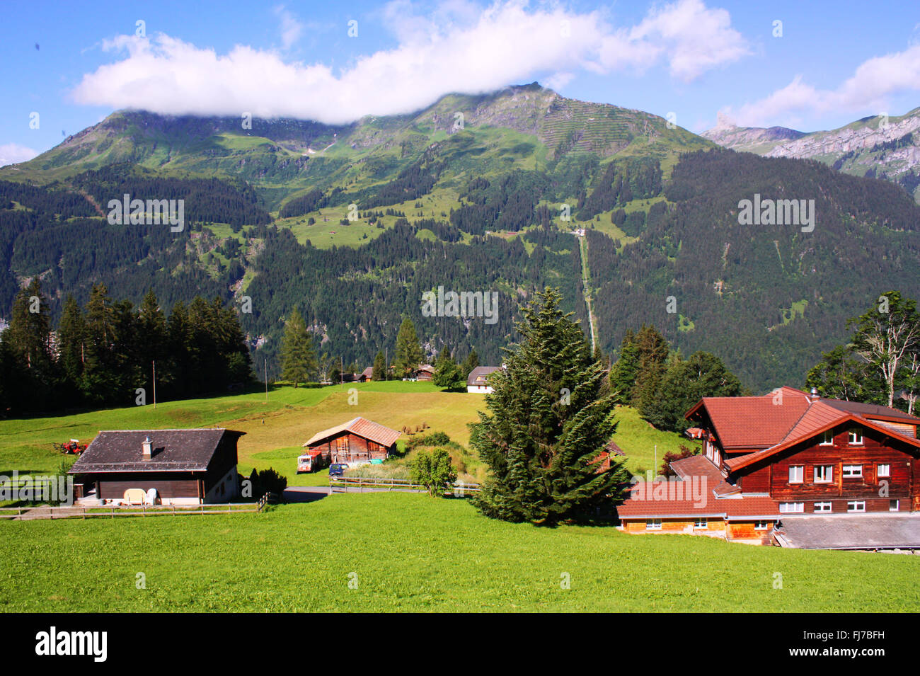 Houses with mountain background in Switzerland Stock Photo - Alamy